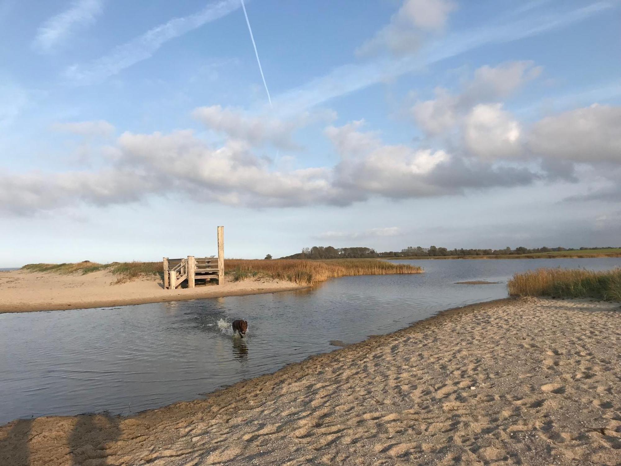 Ferienhaus Nele Ostseebad Kühlungsborn Esterno foto
